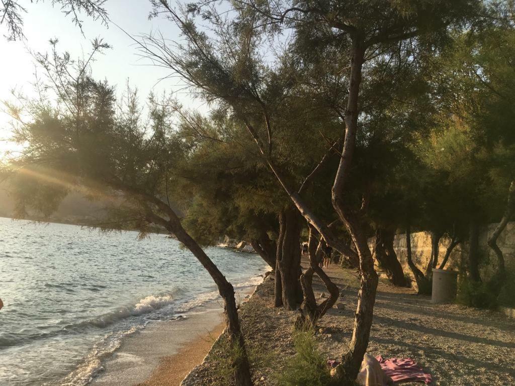 Apartmani Mirta Omiš Dış mekan fotoğraf